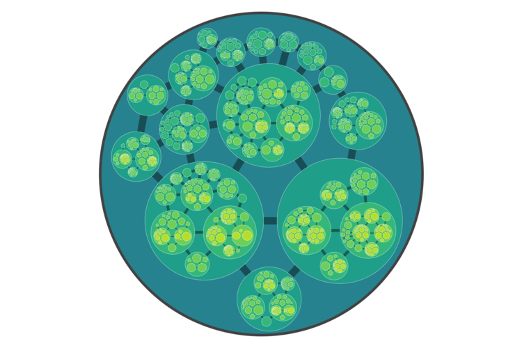 Research Complex Infrastructure Systems