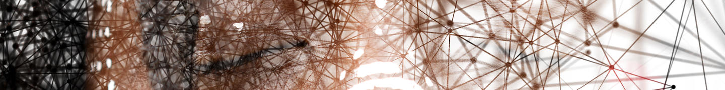 Human and Network