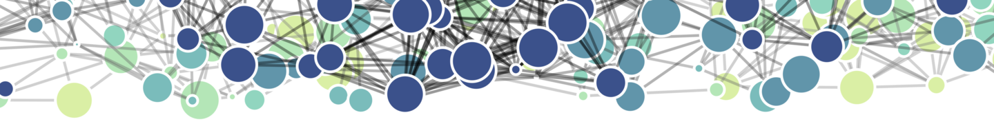 Multi-Layer Network Bottom